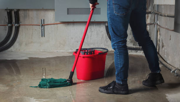 Best Carpet water damage restoration  in Mccla, AL