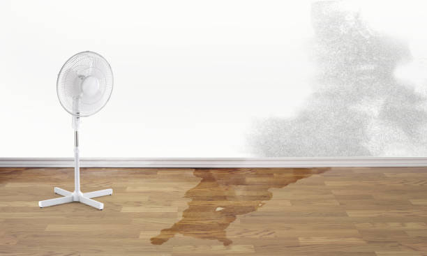 Best 24-hour water damage restoration  in Mccla, AL