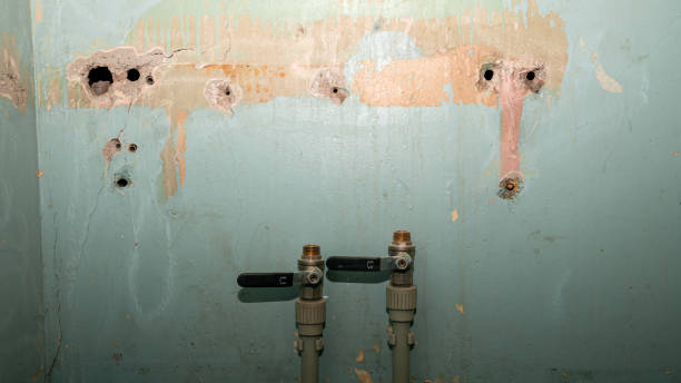 Carpet water damage restoration in Mccalla, AL