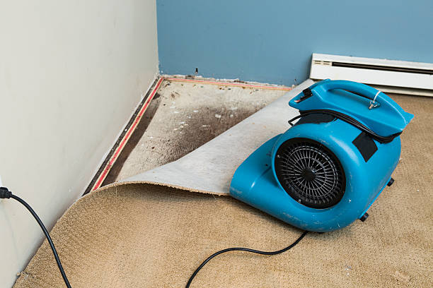 Mccalla, AL Water damage restoration Company